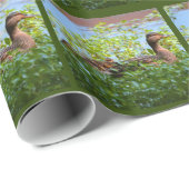 Mallard und Ducklings Swimming by Shirley Taylor Geschenkpapier (Rolleneckpunkt)