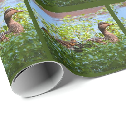 Mallard und Ducklings Swimming by Shirley Taylor Geschenkpapier (Rolleneckpunkt)