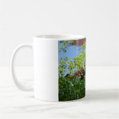 Mallard und Ducklings Swimming by Shirley Taylor Kaffeetasse (Links)