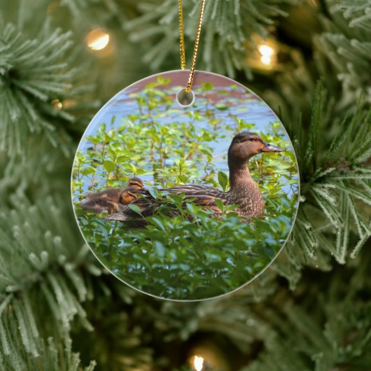 Mallard und Ducklings Swimming by Shirley Taylor Keramik Ornament (Baum)