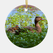 Mallard und Ducklings Swimming by Shirley Taylor Keramik Ornament (Vorne)