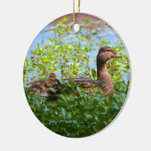 Mallard und Ducklings Swimming by Shirley Taylor Keramik Ornament (Links)