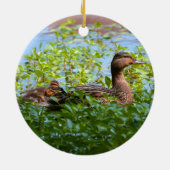 Mallard und Ducklings Swimming by Shirley Taylor Keramik Ornament (Hinten)
