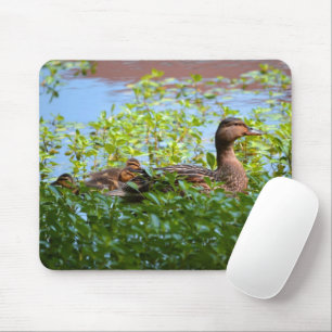 Mallard und Ducklings Swimming by Shirley Taylor Mousepad