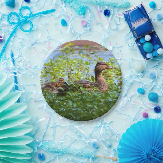 Mallard und Ducklings Swimming by Shirley Taylor Pappteller (Party)