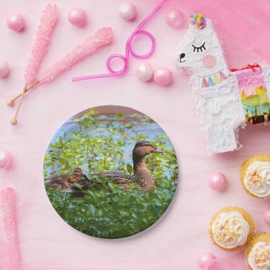 Mallard und Ducklings Swimming by Shirley Taylor Pappteller (Party)