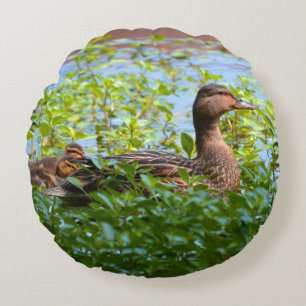 Mallard und Ducklings Swimming by Shirley Taylor Rundes Kissen