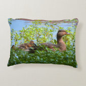 Mallard und Ducklings Swimming by Shirley Taylor Zierkissen (Rückseite)