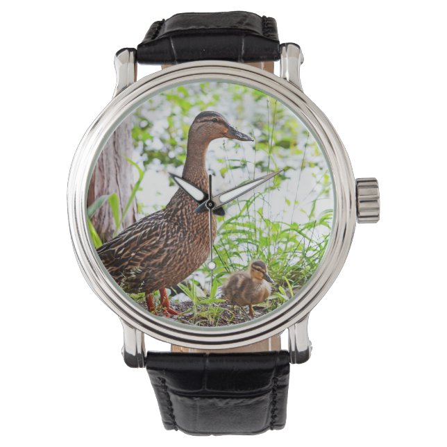 Mallard und Ducklings von Shirley Taylor Armbanduhr (Vorderseite)