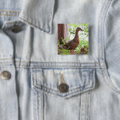 Mallard und Ducklings von Shirley Taylor Button (Beispiel)