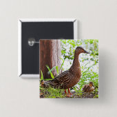 Mallard und Ducklings von Shirley Taylor Button (Vorne & Hinten)