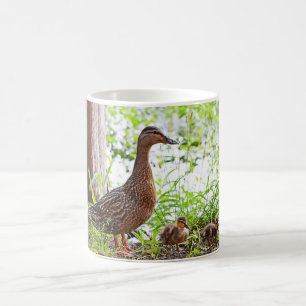 Mallard und Ducklings von Shirley Taylor Kaffeetasse