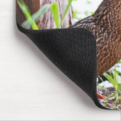 Mallard und Ducklings von Shirley Taylor Mousepad (Ecke)