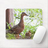 Mallard und Ducklings von Shirley Taylor Mousepad (Mit Mouse)