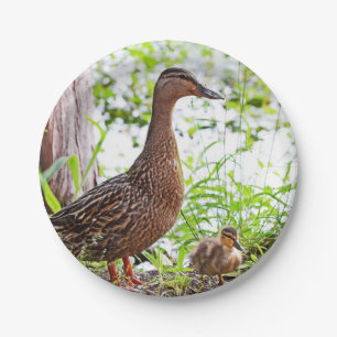 Mallard und Ducklings von Shirley Taylor Pappteller