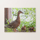 Mallard und Ducklings von Shirley Taylor Puzzle (Horizontal)