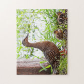 Mallard und Ducklings von Shirley Taylor Puzzle (Vertikal)