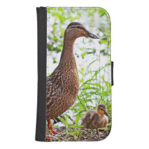 Mallard und Ducklings von Shirley Taylor