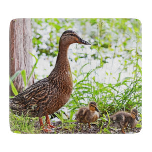 Mallard und Ducklings von Shirley Taylor Schneidebrett