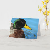 Mallard Up Nah Karte (Gelbe Blume)