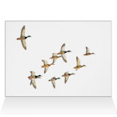 Mallardenflug (Innenansicht Horizontal (Oben))