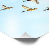 Mallardenflug Fotodruck (Ecke)