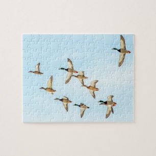 Mallardenflug Puzzle
