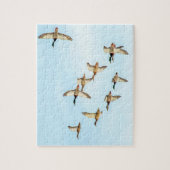 Mallardenflug Puzzle (Vertikal)