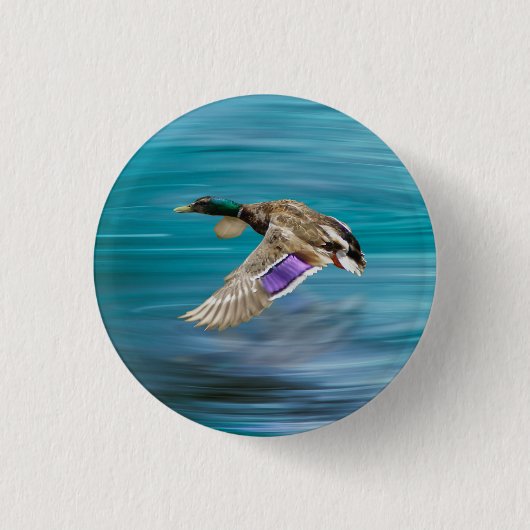 Mallardente Button (Vorderseite)