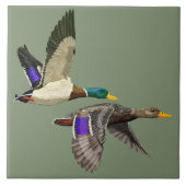 Mallardente Fliese (Vorderseite)