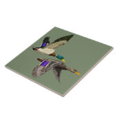 Mallardente Fliese (Seite)