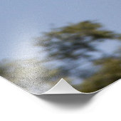 Mallardente im Flug Fotodruck (Ecke)