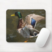 Mallardente kurz vor dem Mousepad (Mit Mouse)