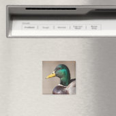 Mallardente Magnet (In Situ (Geschirrspüler))