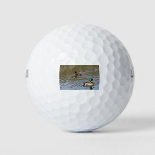 Mallardente und getuftete Ente auf einem Fluss Golfball