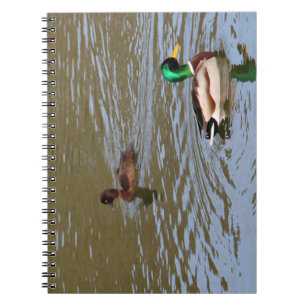 Mallardente und getuftete Ente auf einem Fluss Notizblock