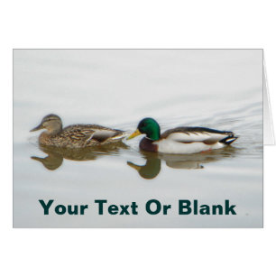 Mallards
