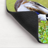 Mallards am Ufer des Teiches Mousepad (Ecke)