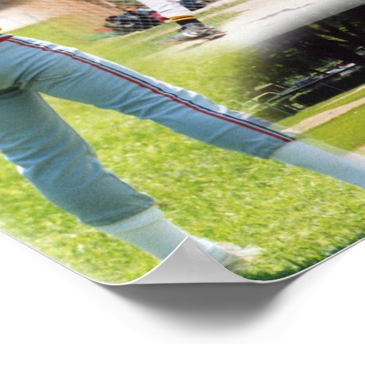 Mallards Collage Poster (Ecke)