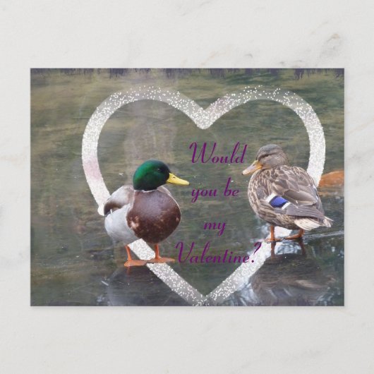 Mallards-Freundschaft Feiertagspostkarte (Vorderseite)