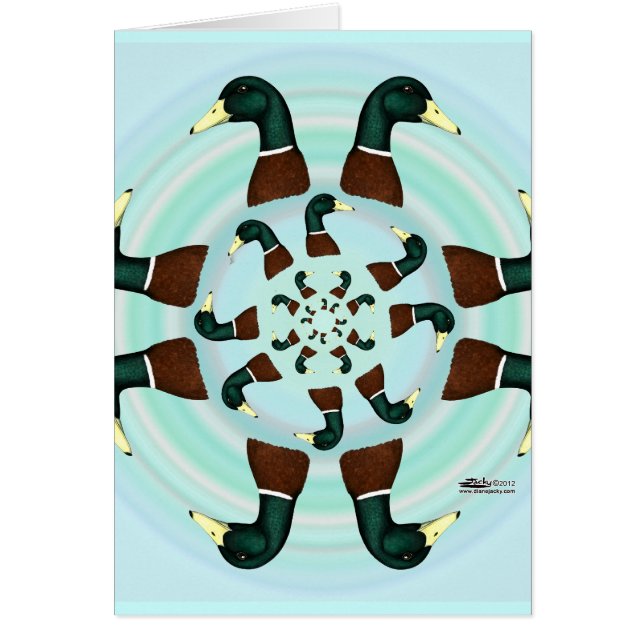 Mallards Galore! (Vorne)