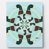 Mallards Galore! Fotoplatte (Vorderseite)