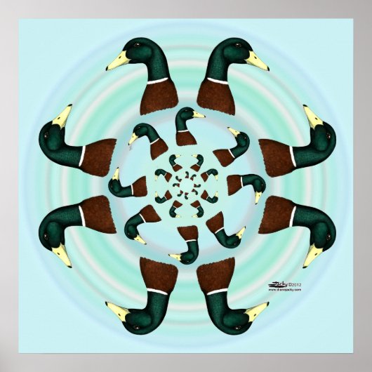 Mallards Galore! Poster (Vorne)