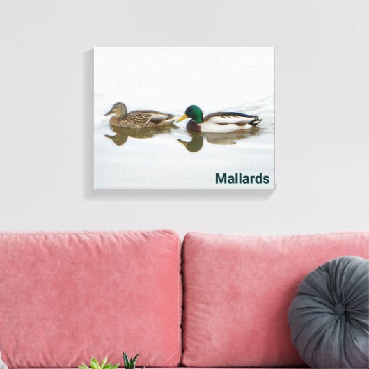 Mallards Leinwanddruck (Insitu (Wohnzimmer))