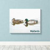 Mallards Leinwanddruck (Insitu (Holzboden))
