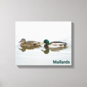 Mallards Leinwanddruck (Vorderseite)