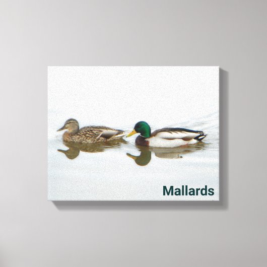 Mallards Leinwanddruck (Vorderseite)