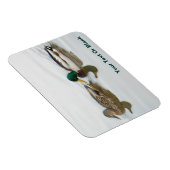 Mallards Magnet (Rechte Seite)