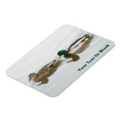 Mallards Magnet (Linke Seite)