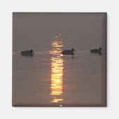 Mallards Magnet (Vorne)